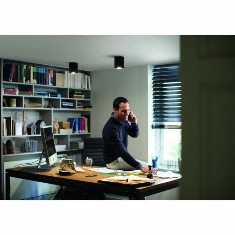 Luminaires Philips Plafonnier Philips Hue Pillar LED Noir, 1 lumière, Télécommandes