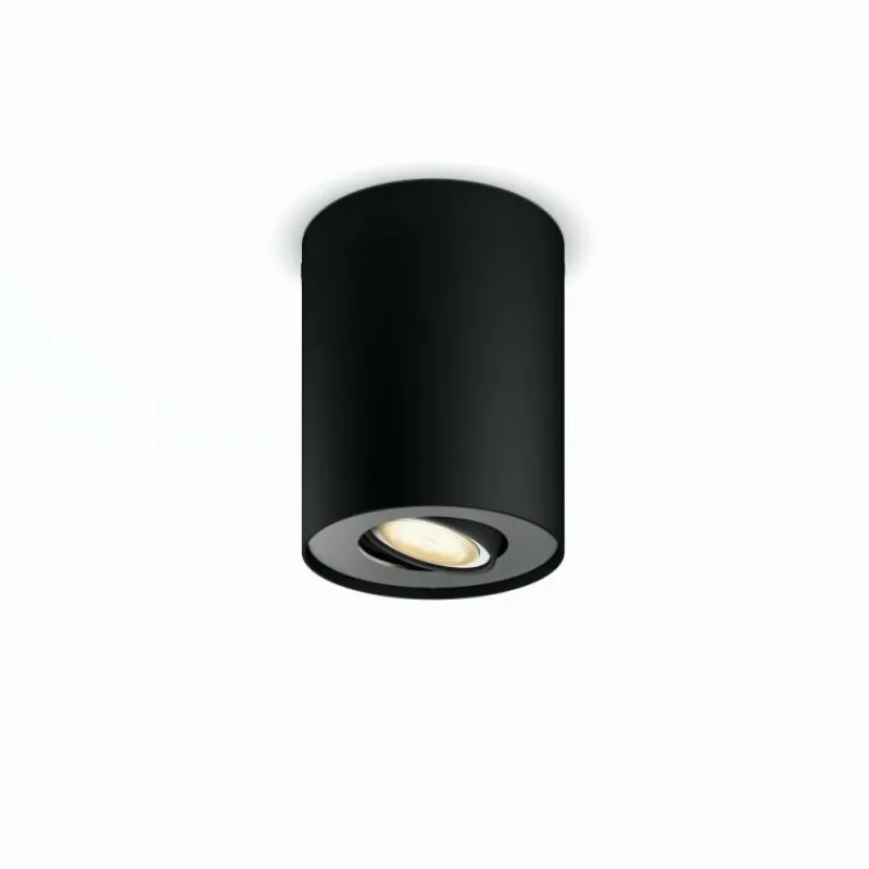 Luminaires Philips Plafonnier Philips Hue Pillar LED Noir, 1 lumière, Télécommandes