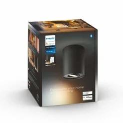Luminaires Philips Plafonnier Philips Hue Pillar LED Noir, 1 lumière, Télécommandes