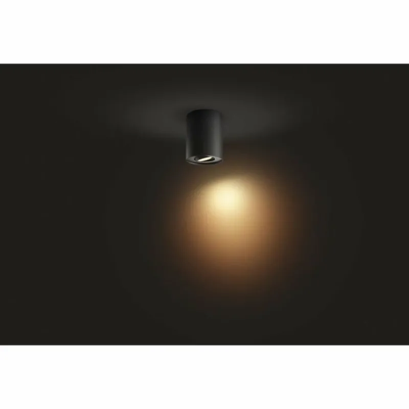 Luminaires Philips Plafonnier Philips Hue Pillar LED Noir, 1 lumière, Télécommandes