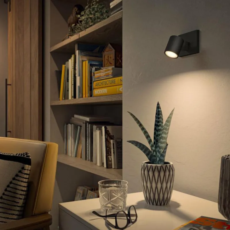 Luminaires Philips Plafonnier Philips Hue Runner LED Noir, 1 lumière