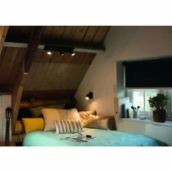 Luminaires Philips Plafonnier Philips Hue Runner LED Noir, 1 lumière