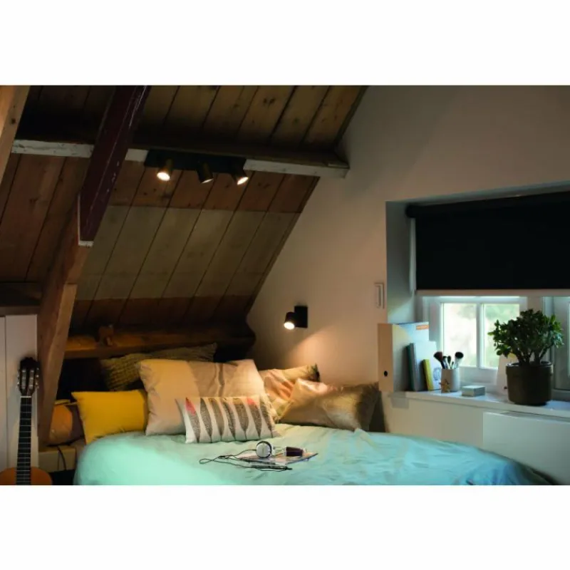 Luminaires Philips Plafonnier Philips Hue Runner LED Noir, 1 lumière