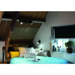 Luminaires Philips Plafonnier Philips Hue Runner LED Noir, 1 lumière