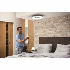 Luminaires Philips Plafonnier Philips Hue Still LED Noir, 1 lumière, Télécommandes