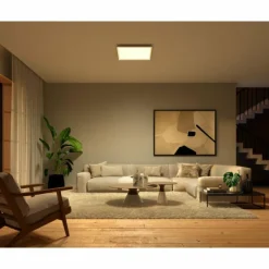 Luminaires Philips Plafonnier Philips Hue Surimu LED Blanc, 1 lumière, Changeur de couleurs