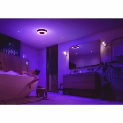 Luminaires Philips Plafonnier Philips Hue Xamento LED Noir, Blanc, 1 lumière, Changeur de couleurs