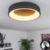 hofstein Plafonnier Pine LED Noir, 1 lumière