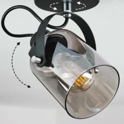 Suspension Verre Fumé-hofstein Plafonnier Quieri Noir, 1 lumière