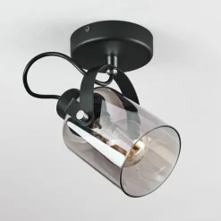 Suspension Verre Fumé-hofstein Plafonnier Quieri Noir, 1 lumière