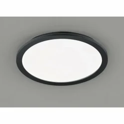 Luminaires Rustiques-Luminaires Reality Plafonnier Reality CAMILLUS LED Noir, 1 lumière