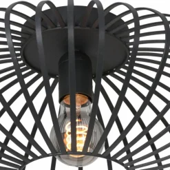 Luminaires Steinhauer Plafonnier Steinhauer Dunbar Noir, 1 lumière* Plafonniers