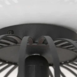 Luminaires Steinhauer Plafonnier Steinhauer Dunbar Noir, 1 lumière* Plafonniers