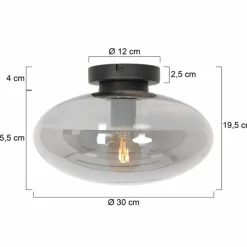 Suspension Verre Fumé-Luminaires Steinhauer Plafonnier Steinhauer Reflexion Noir, 1 lumière