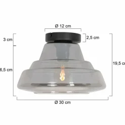 Suspension Verre Fumé-Luminaires Steinhauer Plafonnier Steinhauer Reflexion Noir, 1 lumière