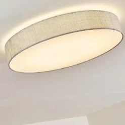 Lampes En Tissu-hofstein Plafonnier Tallaboa LED Argenté, 1 lumière, Télécommandes