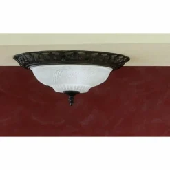 Luminaires Trio Plafonnier Trio 6102 Brun, Rouille, 2 lumières