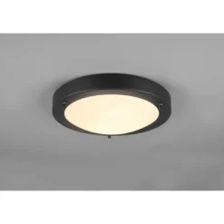 Luminaires Trio Plafonnier Trio Condus Noir, 1 lumière