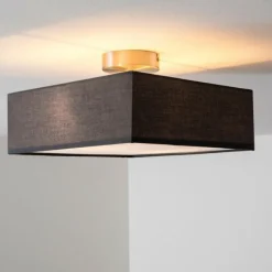 Lampes En Tissu-hofstein Plafonnier Trio Embassy Nickel mat, 2 lumières
