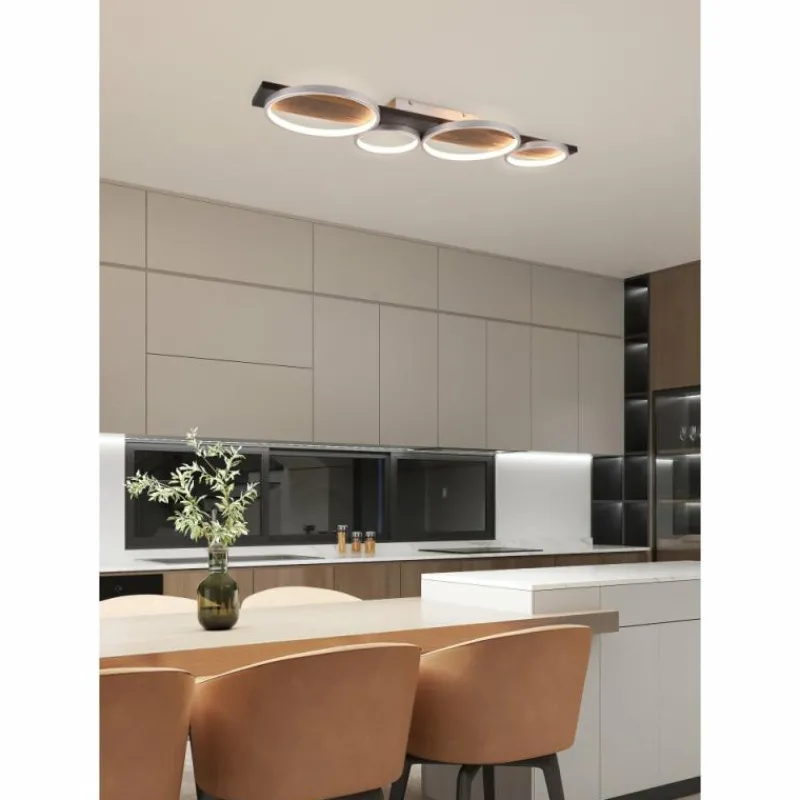 Lampes En Bois-Luminaires Trio Plafonnier Trio Medera LED Noir, Titane, 1 lumière