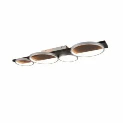 Lampes En Bois-Luminaires Trio Plafonnier Trio Medera LED Noir, Titane, 1 lumière