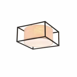 Luminaires Trio Plafonnier Trio Ross Noir, 2 lumières* Plafonniers