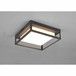 Luminaires Trio Plafonnier Trio Witham LED Anthracite, 1 lumière