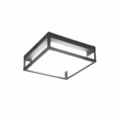 Luminaires Trio Plafonnier Trio Witham LED Anthracite, 1 lumière