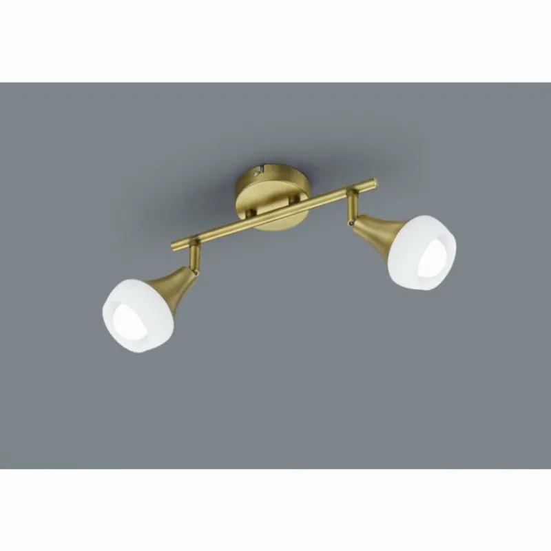 Luminaires Trio Plafonnier Trio-Leuchten Trumpet Laiton, 2 lumières