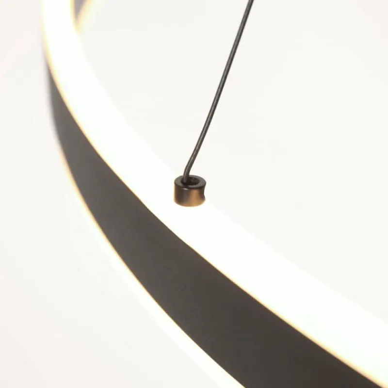 Luminaires Steinhauer Ringlux Suspension LED Noir, 2 lumières* Éclairage Led