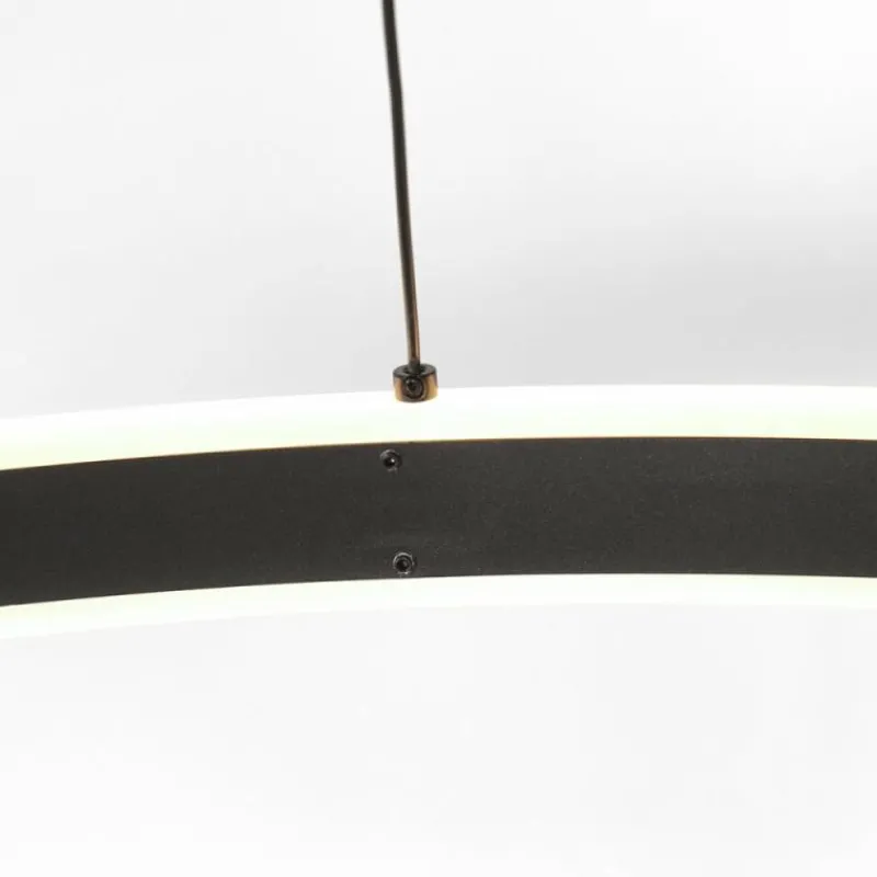 Luminaires Steinhauer Ringlux Suspension LED Noir, 2 lumières* Éclairage Led