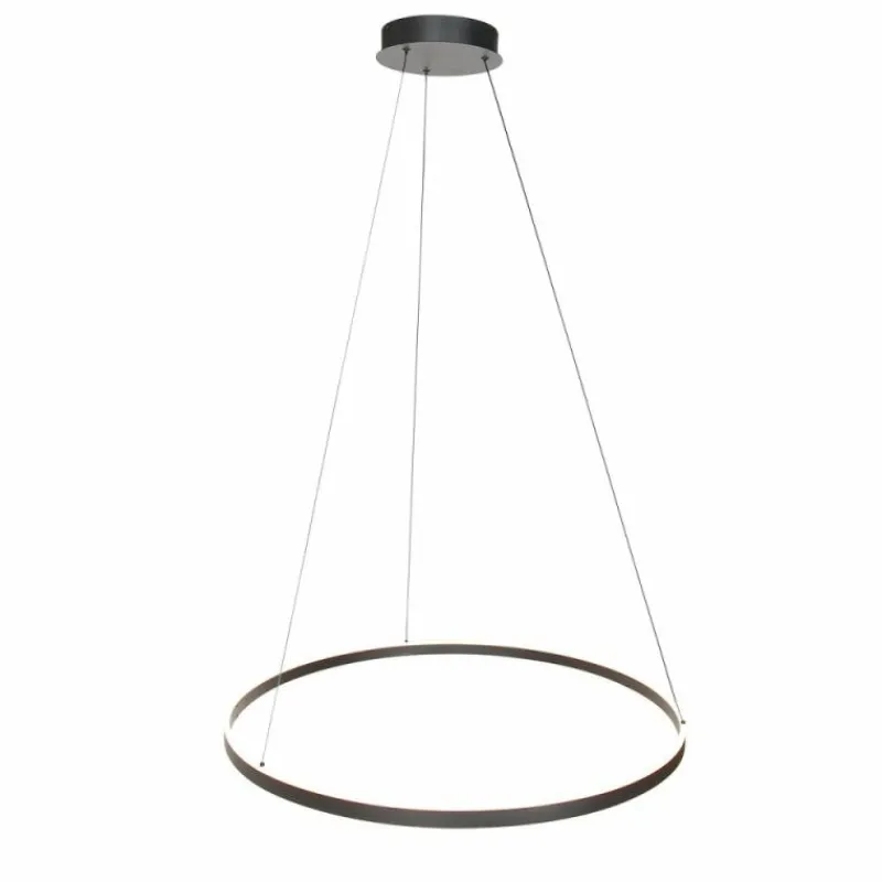 Luminaires Steinhauer Ringlux Suspension LED Noir, 2 lumières* Éclairage Led