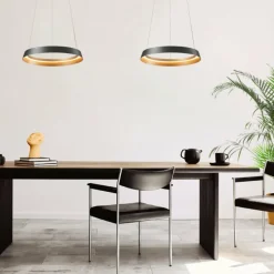 Luminaires Steinhauer Ringlux Suspension LED Noir, 1 lumière* Suspensions