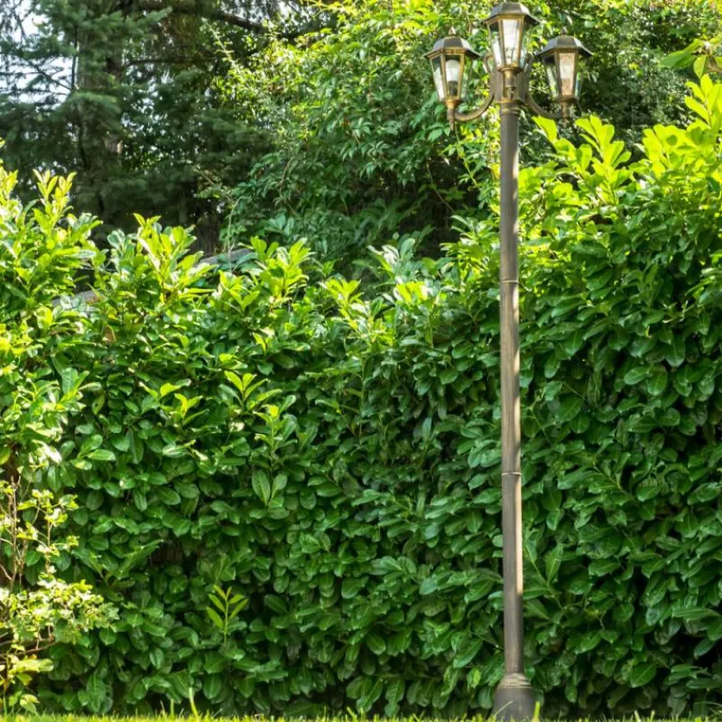 Luminaires Rustiques-hofstein Réverbère NATAL Noir doré, 3 lumières