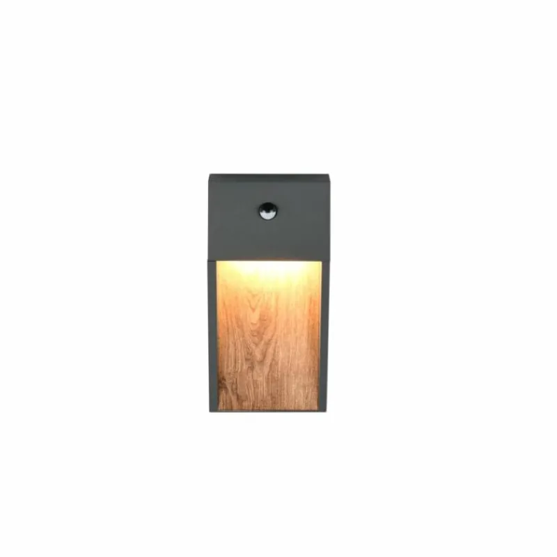 Lampes En Bois-Luminaires Trio SALMON Applique murale LED Bois clair, 1 lumière, Détecteur de mouvement