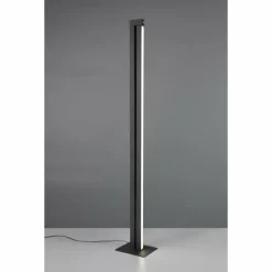 Luminaires Trio Seeker Lampadaire LED Noir, 1 lumière* Éclairage Led