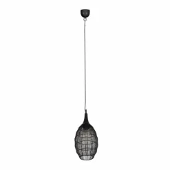 Luminaires Trio SORAYA Suspension Noir, 1 lumière* Suspensions