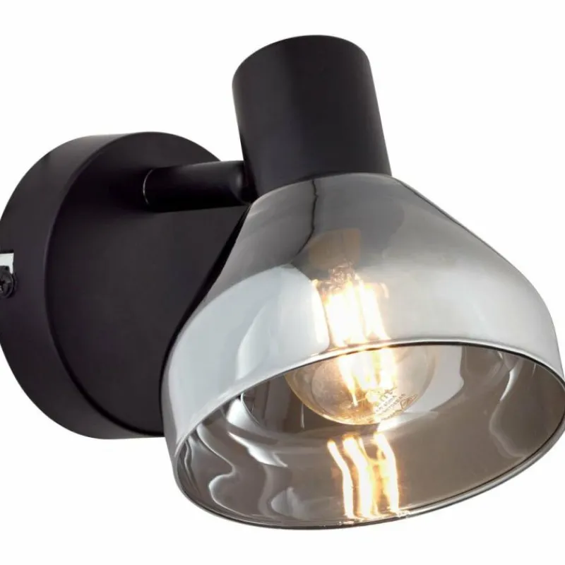 Suspension Verre Fumé-Luminaires Brilliant Spot Brilliant Reflekt Noir, 1 lumière