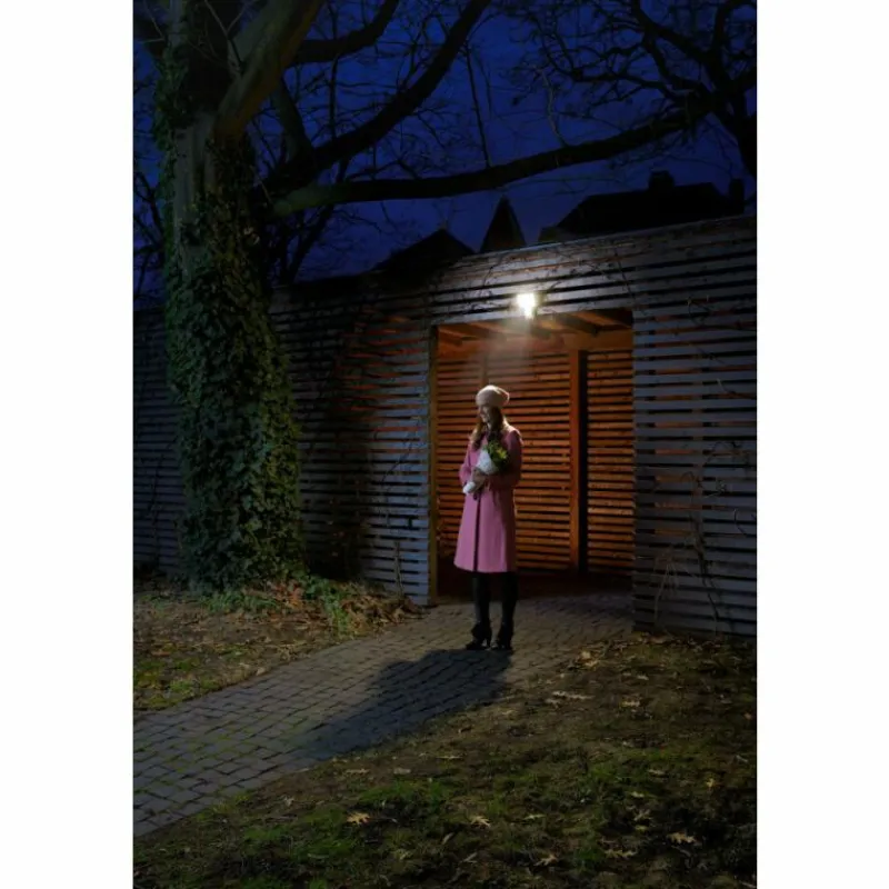 Luminaires Ledvance Spot de jardin LEDVANCE ENDURA® Gris, 1 lumière, Détecteur de mouvement