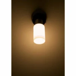 Luminaires Reality Spot mural Reality Acier inoxydable, Blanc, 1 lumière