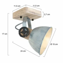 Lampes Industrielles-Luminaires Steinhauer Spot Steinhauer Gearwood Bois clair, Nickel mat, 1 lumière