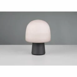 Luminaires Trio Steen Lampe à poser Noir, 1 lumière