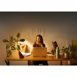 Luminaires Ledvance Sun@Home Lampe à poser LED Noir, 1 lumière