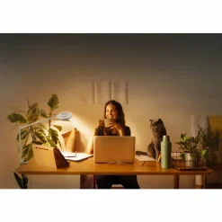 Luminaires Ledvance Sun@Home Lampe à poser LED Blanc, 1 lumière