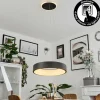 hofstein Suspension Areja LED Noir, Blanc, 1 lumière