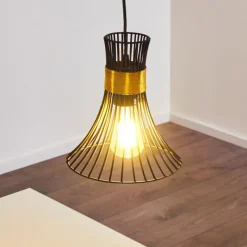 Luminaires Rustiques-hofstein Suspension Ayen Noir, 1 lumière