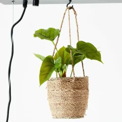 Style Boho-Chic-Luminaires Brilliant Suspension Brilliant-Leuchten Bankwood Noir, 5 lumières