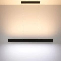 Luminaires Eglo Suspension Eglo ANDREAS-Z LED Noir, 2 lumières, Changeur de couleurs