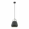 Luminaires Eglo Suspension EGLO BEDNALL Gris, 1 lumière* Suspensions
