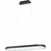 Luminaires Eglo Suspension Eglo CODRIALES LED Noir, 1 lumière* Éclairage Led
